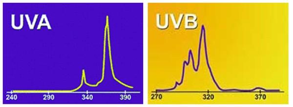 Targeted Phototherapy 6