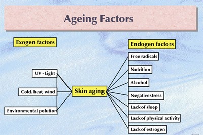 ageing factor
