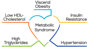 metabolic syndrome