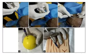 reference image for the article